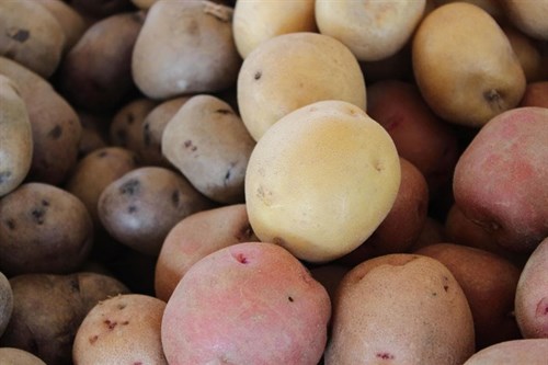 Potatoes, Mixed Variety