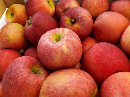 Apples - Mixed Varieties
