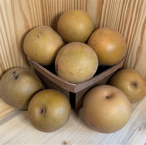 RSM: Asian Pears