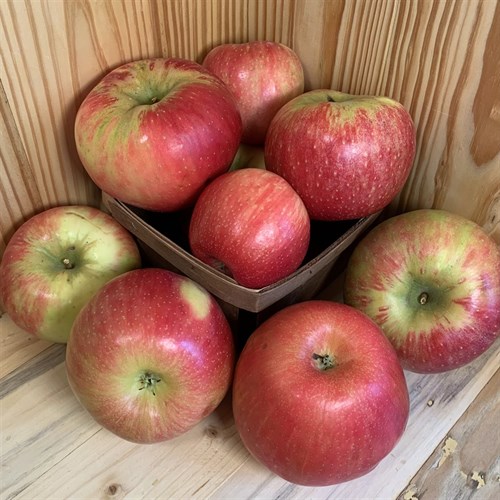 RSM: Honeycrisp Apples