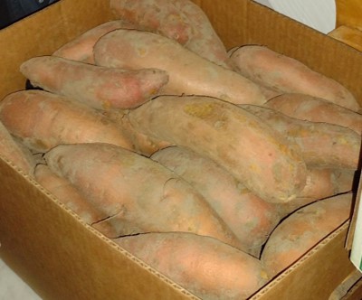 Sweet Potatoes