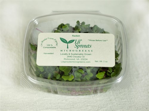 Radish Microgreens