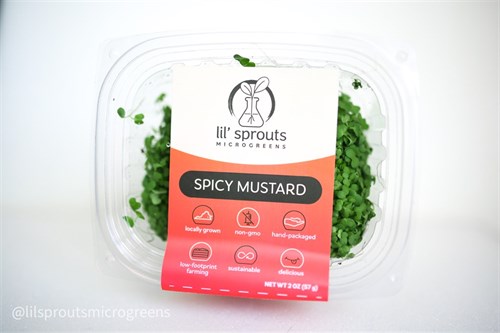 Spicy Oriental Mustard Microgreens