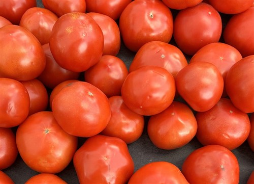 Tomato-Red-Field Grown