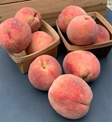 RSM: White Peaches