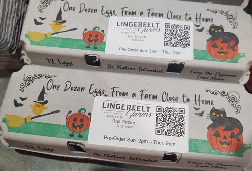 Hen Eggs - 1 dozen
