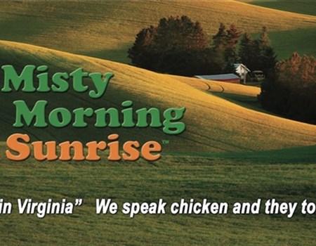 Misty Morning Sunrise Farm