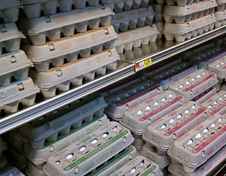 How do you choose the best egg producer?